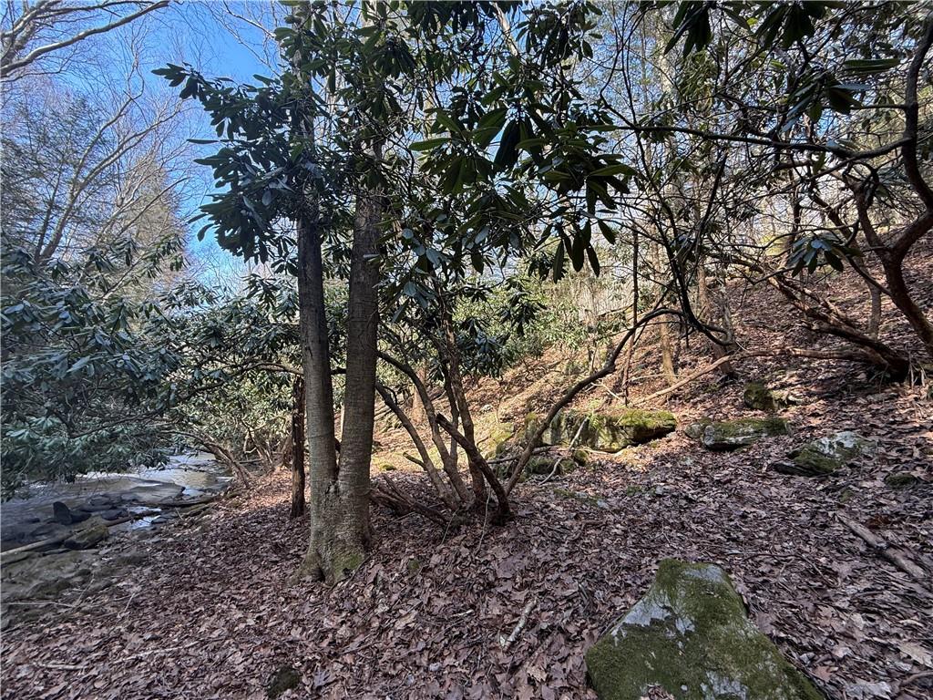 0 Boat Launch Road Dayton, PA 16222 - Photo 15 of 44 a view of a forest filled with trees