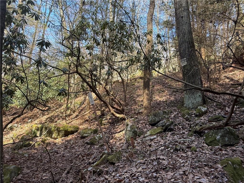 0 Boat Launch Road Dayton, PA 16222 - Photo 16 of 44 a view of a forest with a tree