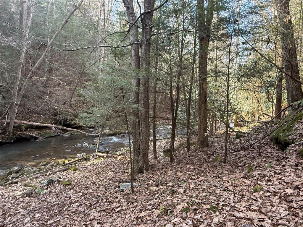 0 Boat Launch Road Dayton, PA 16222 - Photo 18 of 44 a view of a forest filled with trees