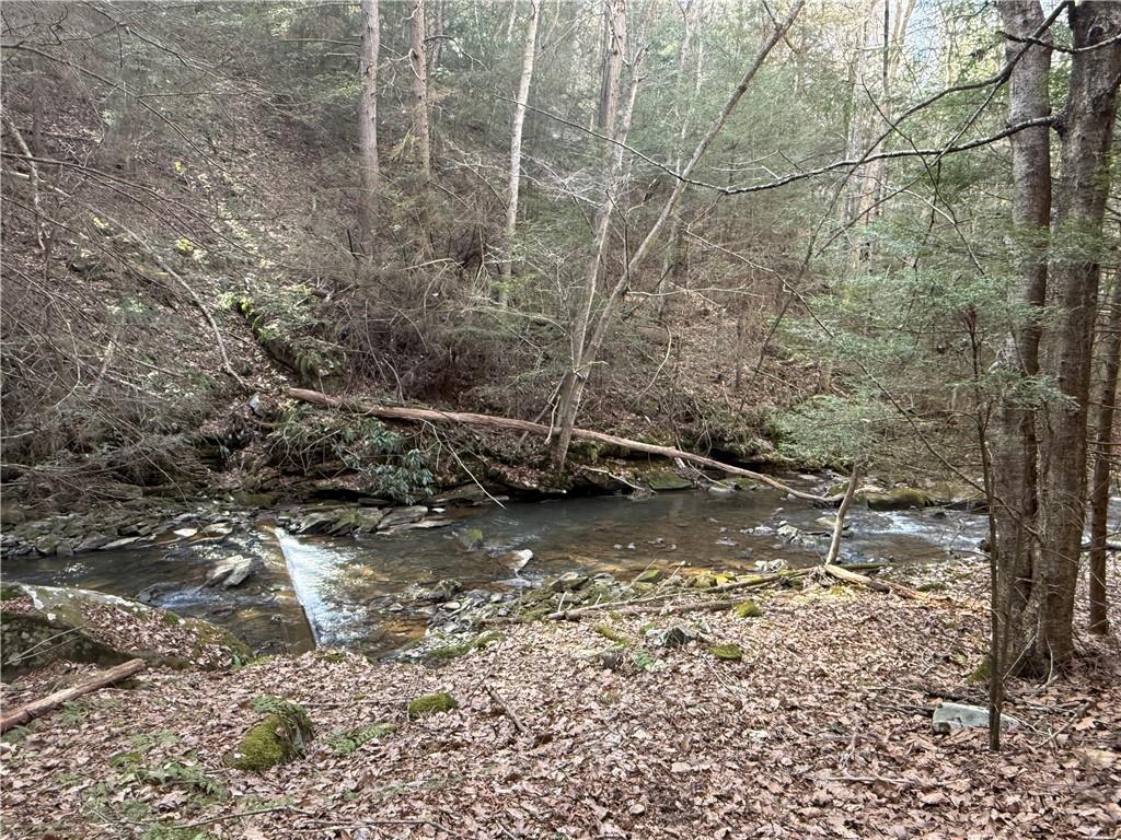 0 Boat Launch Road Dayton, PA 16222 - Photo 19 of 44 a view of a forest with trees