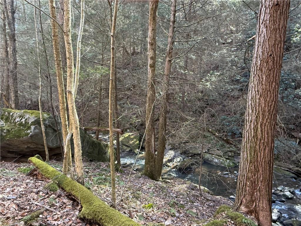 0 Boat Launch Road Dayton, PA 16222 - Photo 20 of 44 a view of a forest filled with trees