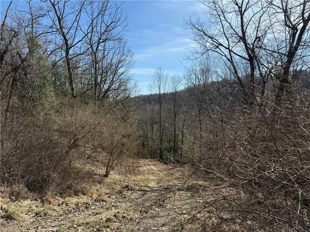0 Boat Launch Road Dayton, PA 16222 - Photo 2 of 44 a backyard of a house with lots of green space