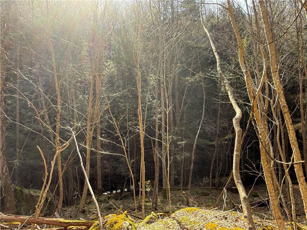 0 Boat Launch Road Dayton, PA 16222 - Photo 21 of 44 a bathroom with a shower
