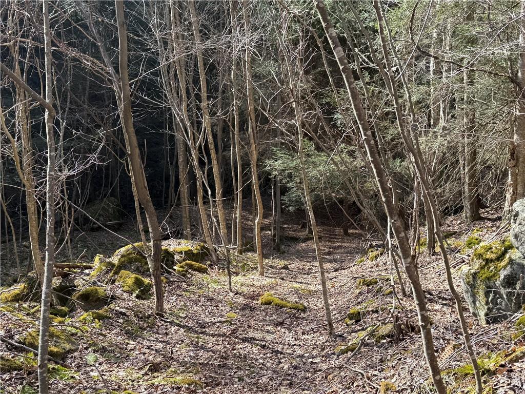 0 Boat Launch Road Dayton, PA 16222 - Photo 22 of 44 a backyard of a house with lots of green space