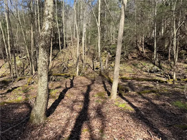 $109,900 | 0 Boat Launch Road, Dayton, PA 16222