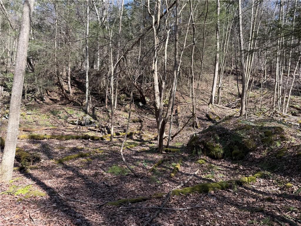 0 Boat Launch Road Dayton, PA 16222 - Photo 25 of 44 a view of a yard with large trees
