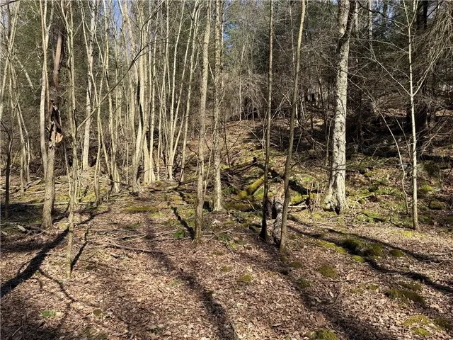 $109,900 | 0 Boat Launch Road, Dayton, PA 16222