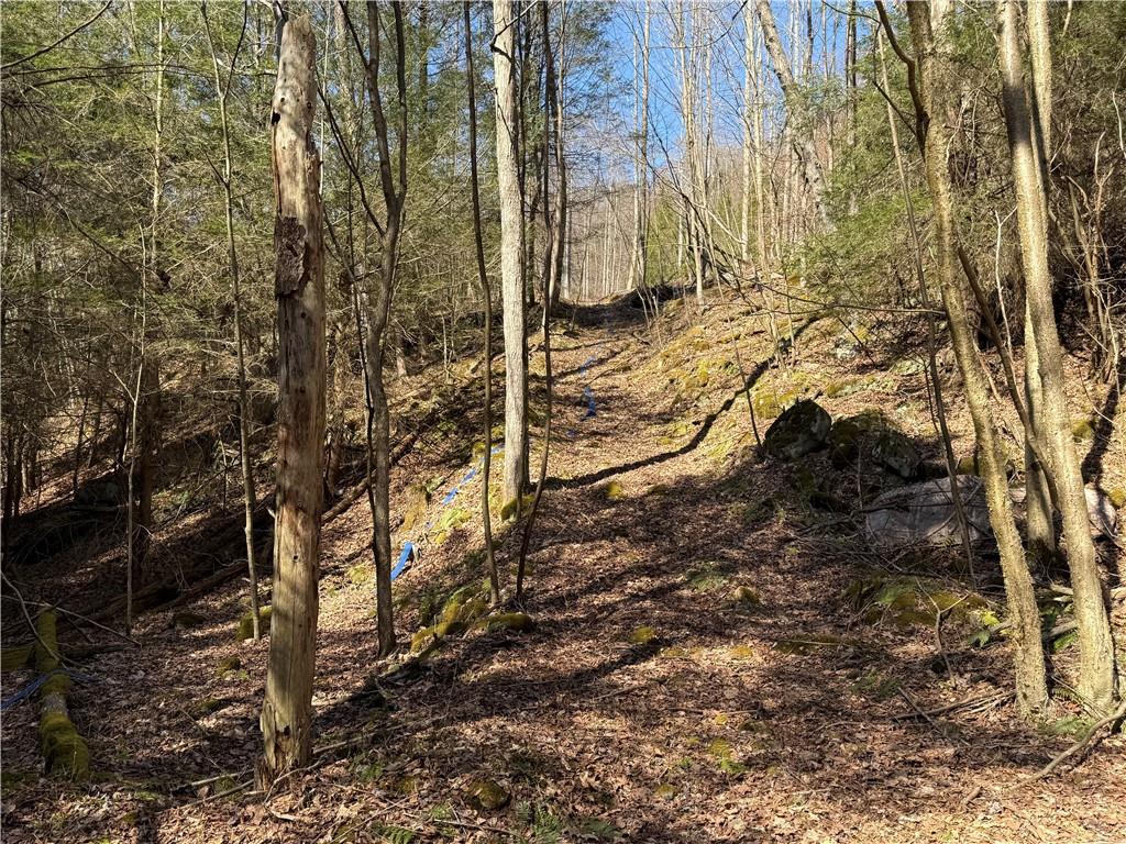 0 Boat Launch Road Dayton, PA 16222 - Photo 34 of 44 a view of a yard of the house