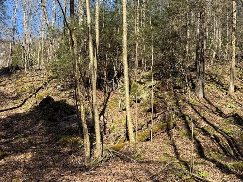 0 Boat Launch Road Dayton, PA 16222 - Photo 35 of 44 a view of a backyard of a house with a tree