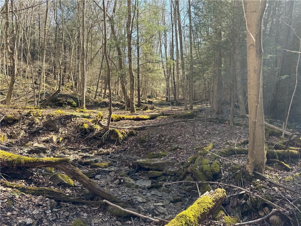 0 Boat Launch Road Dayton, PA 16222 - Photo 36 of 44 a view of a backyard with fountain