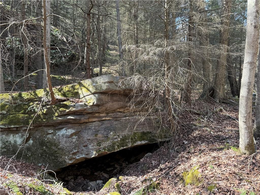 0 Boat Launch Road Dayton, PA 16222 - Photo 40 of 44 a view of a yard with plants