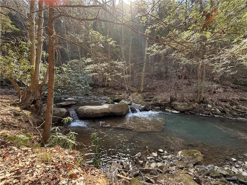 0 Boat Launch Road Dayton, PA 16222 - Photo 4 of 44 a view of a back yard of the house