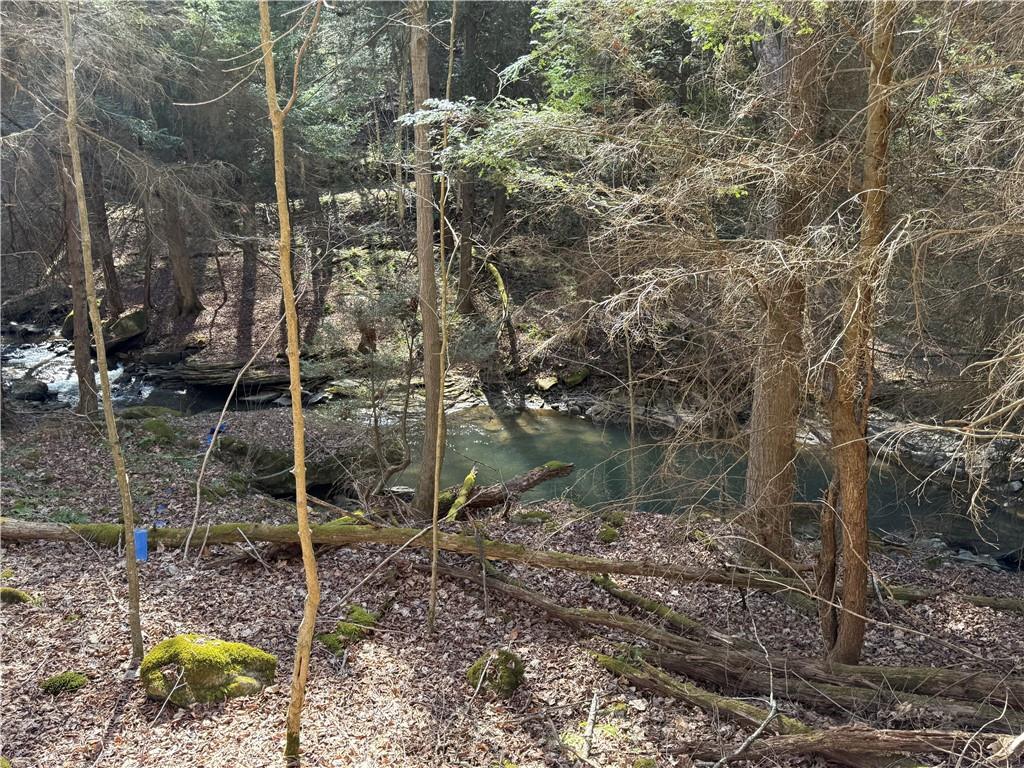 0 Boat Launch Road Dayton, PA 16222 - Photo 41 of 44