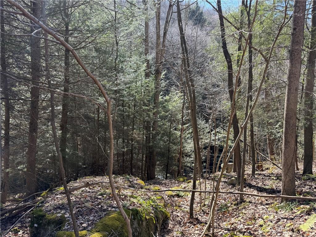 0 Boat Launch Road Dayton, PA 16222 - Photo 43 of 44 a view of outdoor space