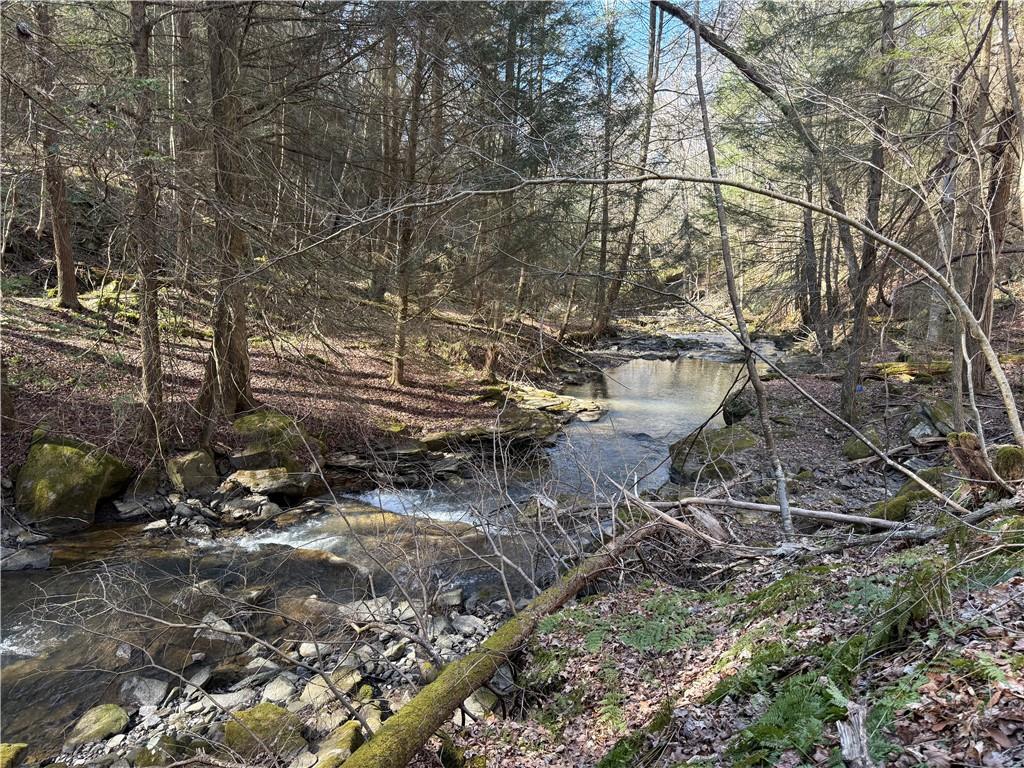 0 Boat Launch Road Dayton, PA 16222 - Photo 5 of 44 a backyard of a house with lots of green space