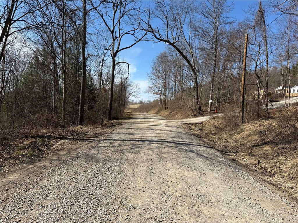 0 Boat Launch Road Dayton, PA 16222 - Photo 6 of 44 a view of a yard with trees