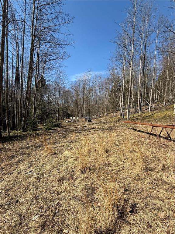 0 Boat Launch Road Dayton, PA 16222 - Photo 9 of 44 a view of dirt yard with a large tree