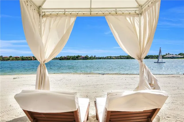 a view of a swimming pool with a patio and plants