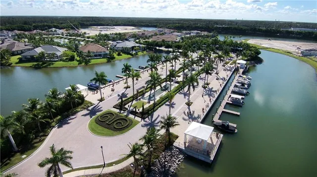 a view of a park with a palm tree