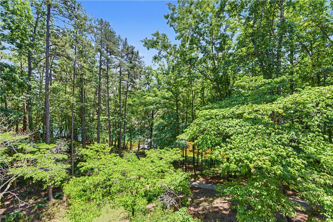 9 Rip Tide Court Salem, SC 29676 - Photo 25 of 50