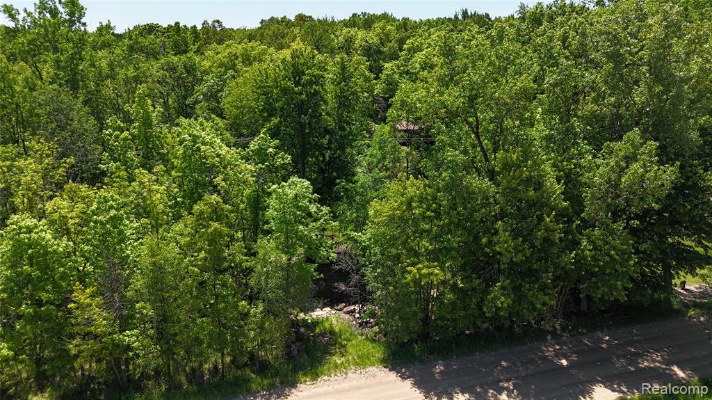 0 Williams Road Gaines, MI 48436 - Photo 4 of 28