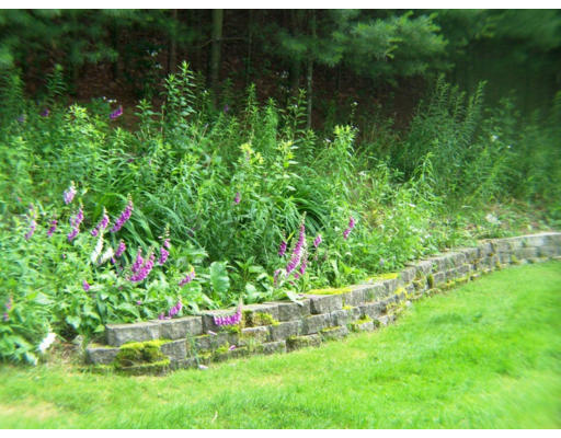 8 Ravens Bluff Andover, MA 01810 - Photo 17 of 20