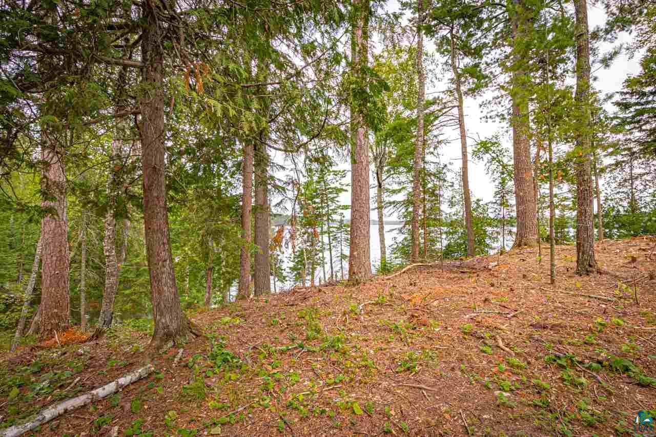 Lot 9 Migisi Road Ely, MN 55731 - Photo 25 of 48