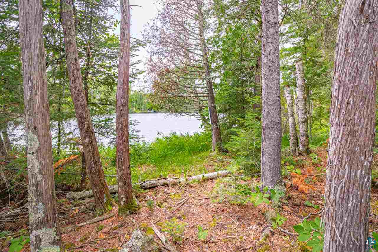 Lot 9 Migisi Road Ely, MN 55731 - Photo 42 of 48