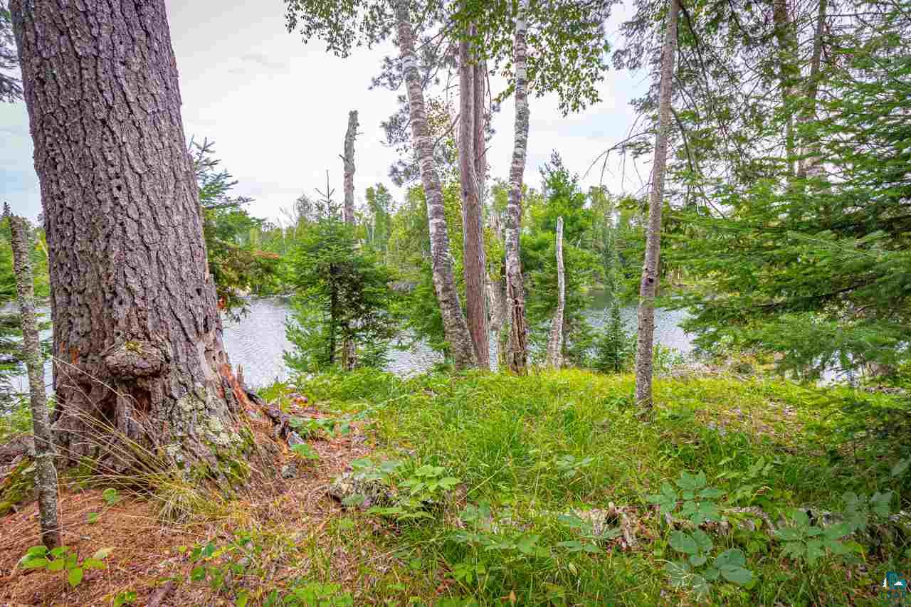 Lot 9 Migisi Road Ely, MN 55731 - Photo 45 of 48