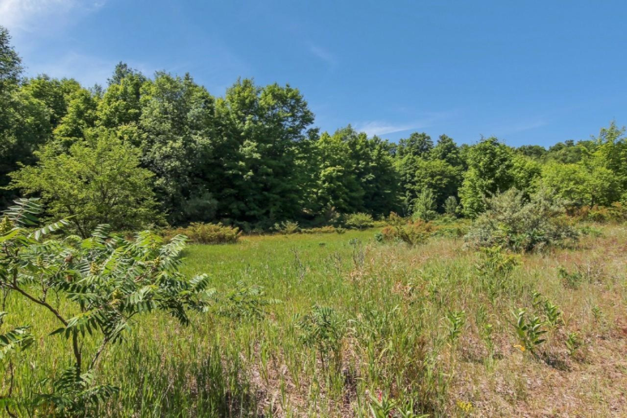 6666 Putney Road Arcadia, MI 49613 - Photo 39 of 48 IMG_0735-Edit-1280