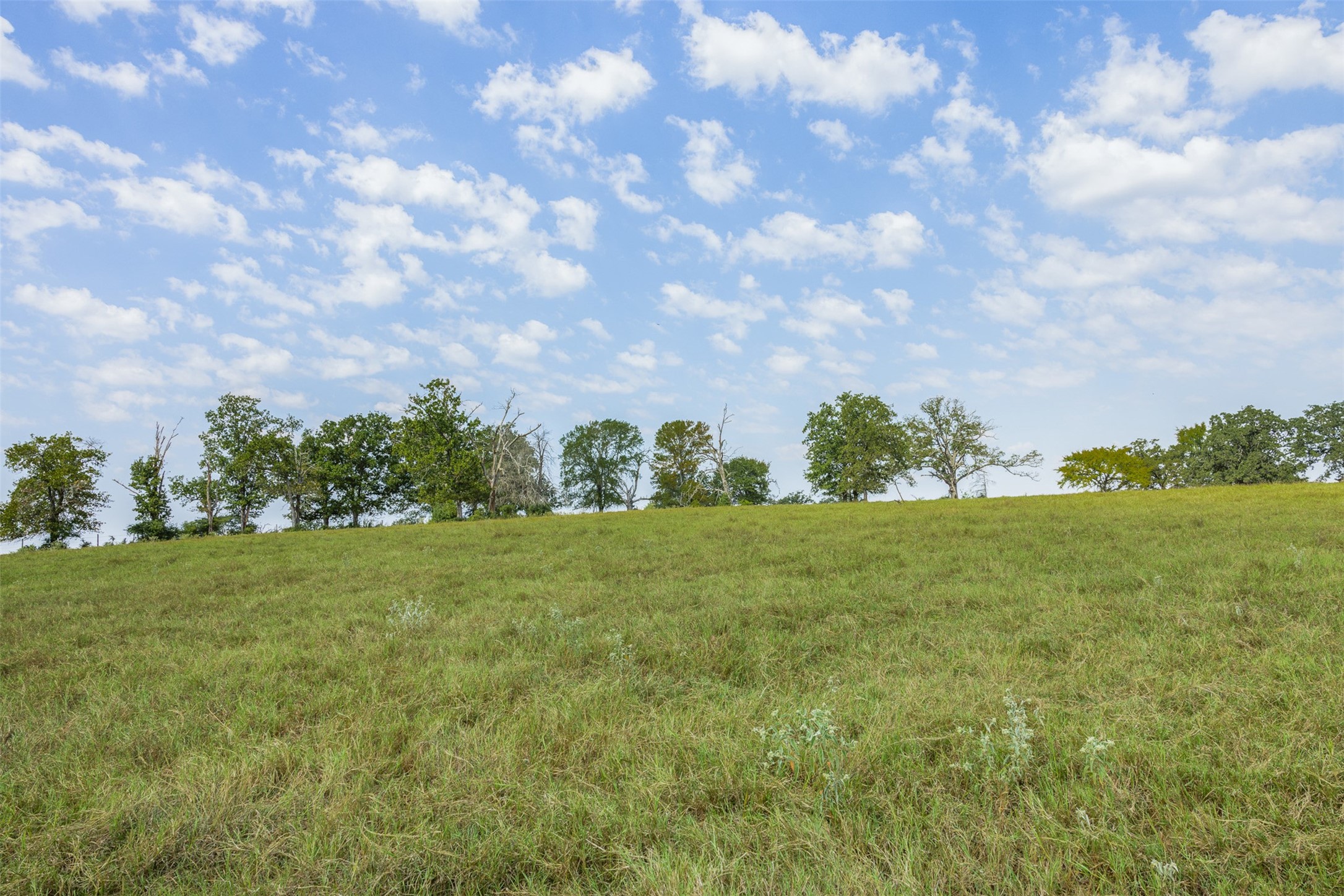 2 Rolke Ranch Road Franklin, TX 77856 - Photo 5 of 11 a view of a field with an outdoor space
