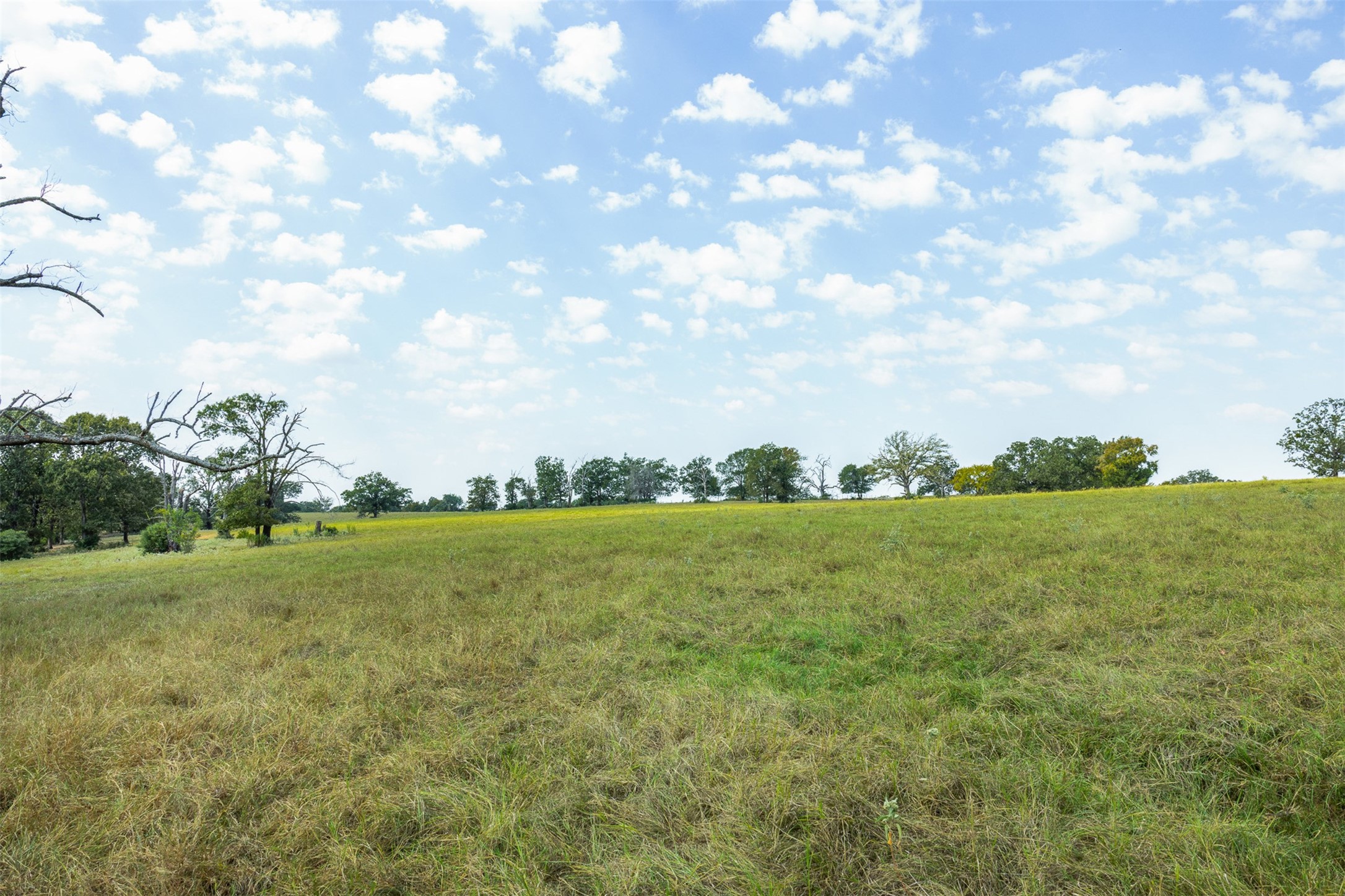 2 Rolke Ranch Road Franklin, TX 77856 - Photo 6 of 11 a view of a field with an trees