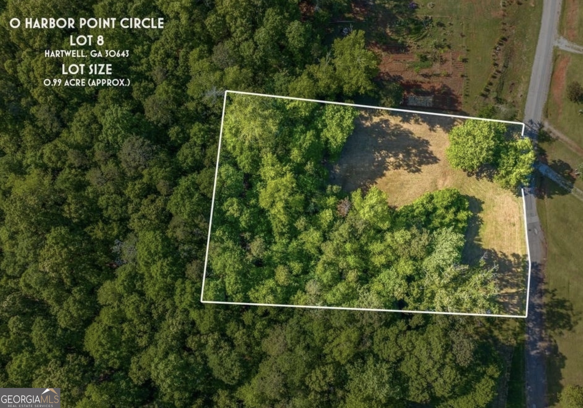 424 Harbor Point, Unit LOT 8 Hartwell, GA 30643 - Photo 4 of 11