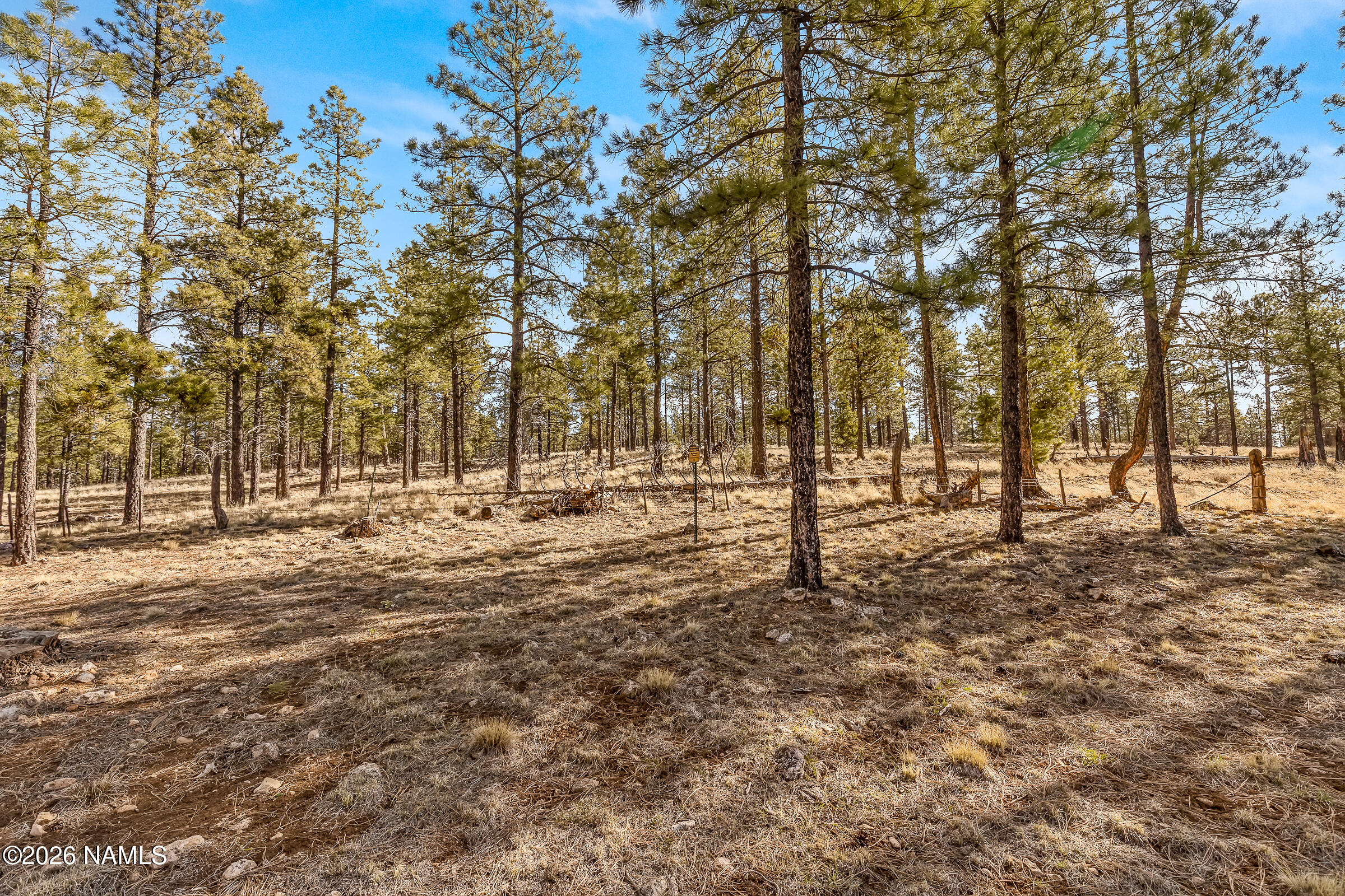 3430 South Del Aire Court Flagstaff, AZ 86005 - Photo 12 of 14 Lot View