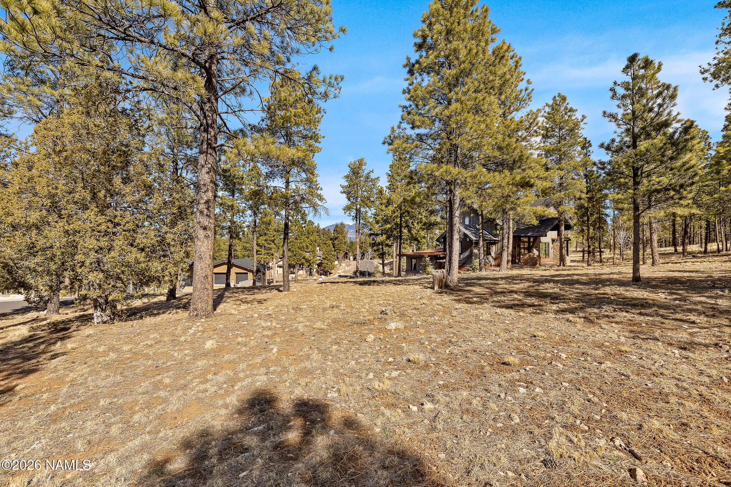 3430 South Del Aire Court Flagstaff, AZ 86005 - Photo 14 of 14 Lot View