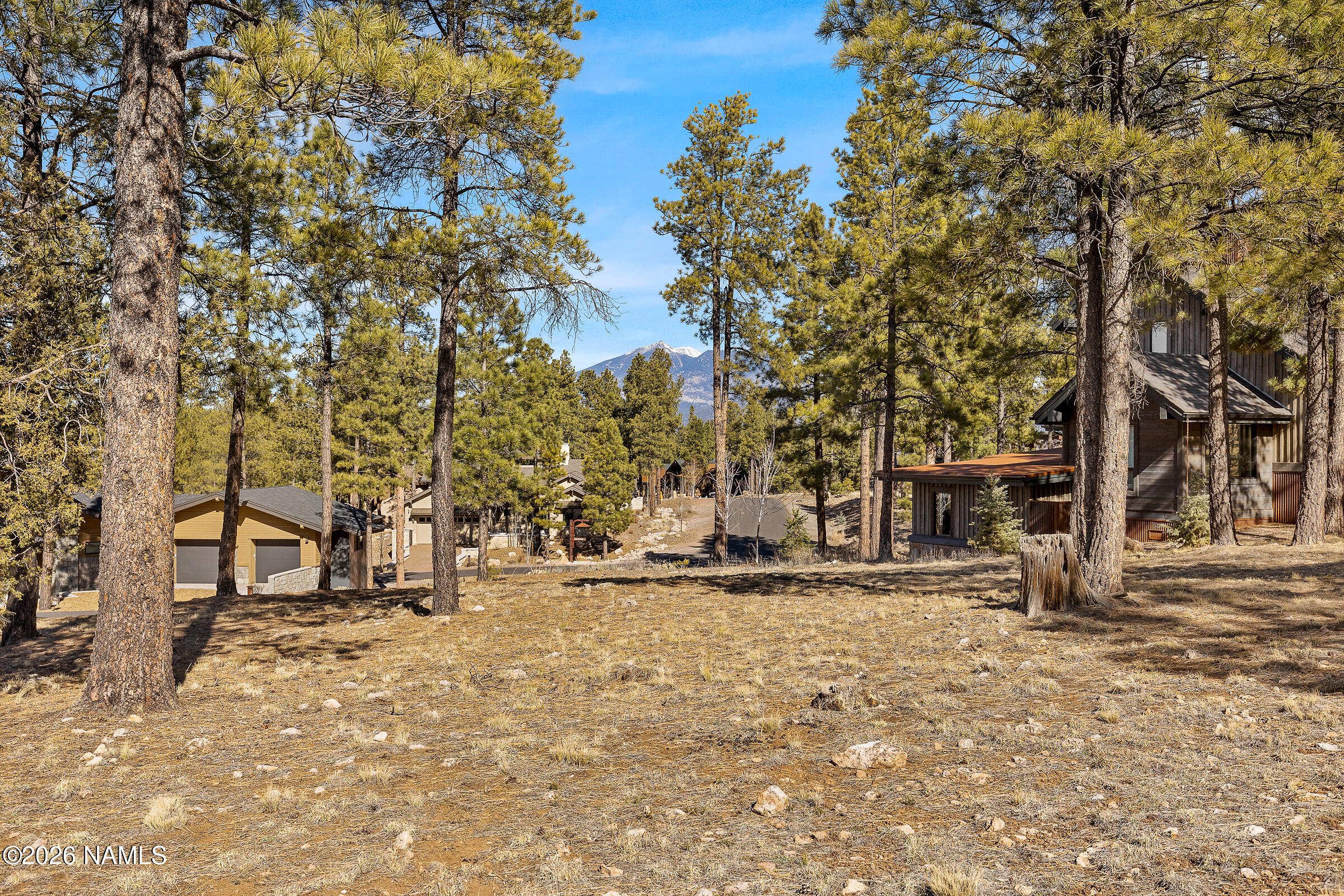 3430 South Del Aire Court Flagstaff, AZ 86005 - Photo 10 of 14 Lot View