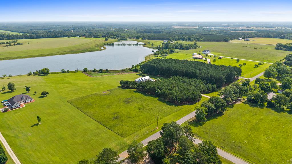 971 Edsel Deese Road Ashford, AL 36312 - Photo 58 of 67