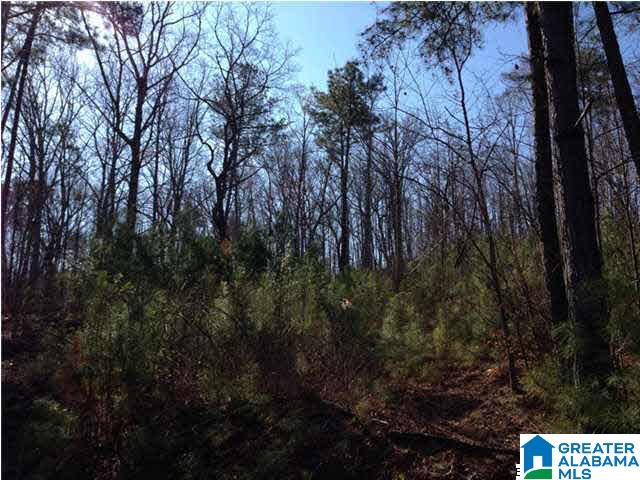 0 Woolfolk Road, Unit 3 ACRES Munford, AL 36268 - Photo 3 of 24