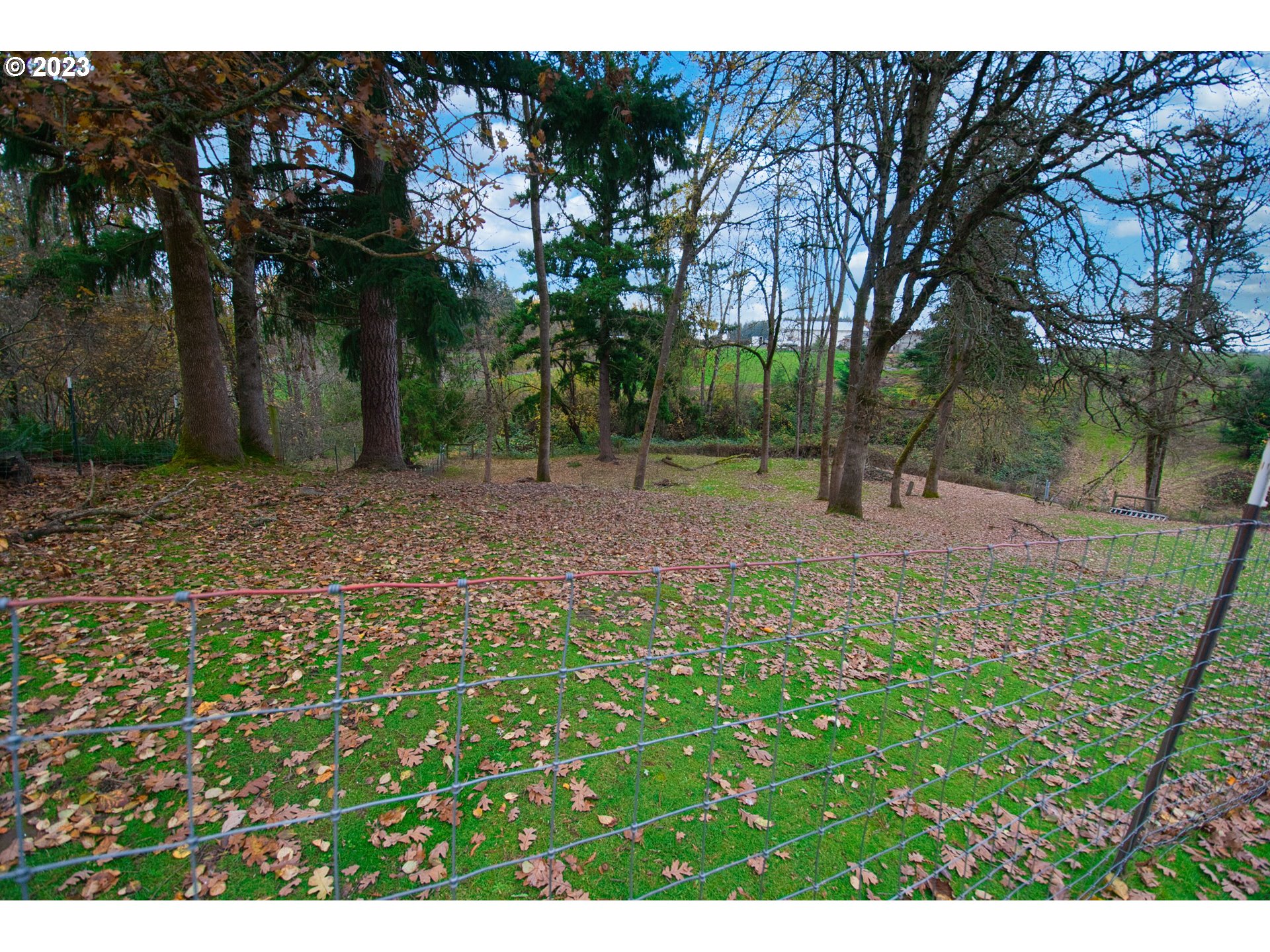8181 Labish Center Road Northeast Silverton, OR 97381 - Photo 7 of 43 a backyard of a house with lots of green space