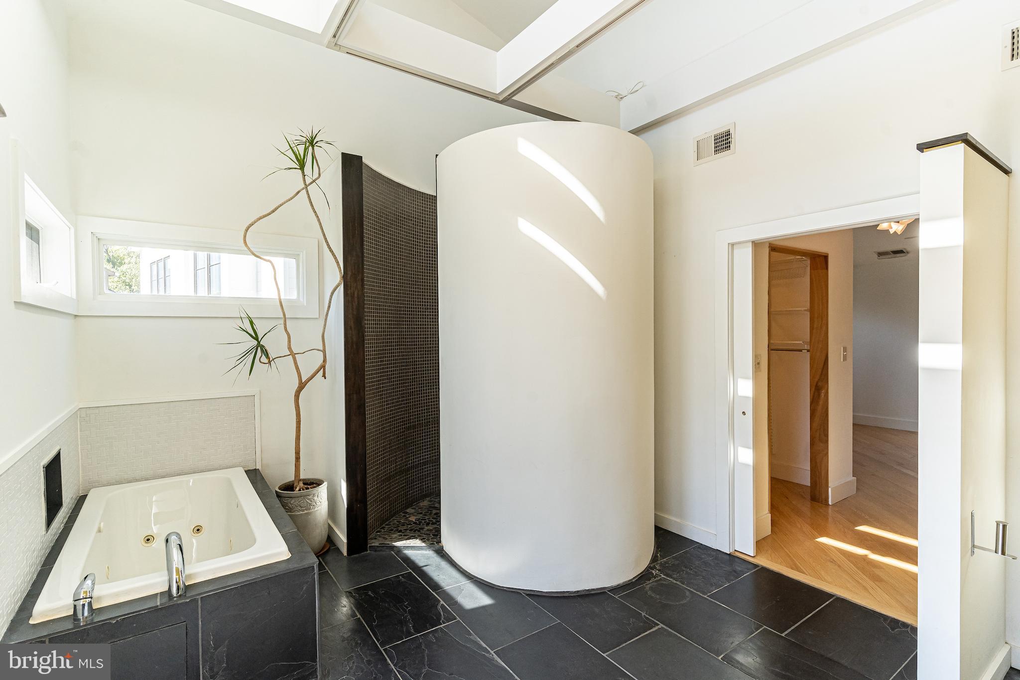 4523 Q Lane Northwest Washington, DC 20007 - Photo 35 of 55 Spa-like shower