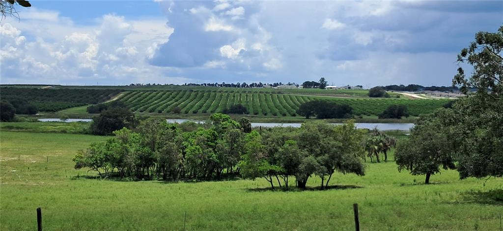 2741 Edwards Road Haines City, FL 33844 - Photo 5 of 59