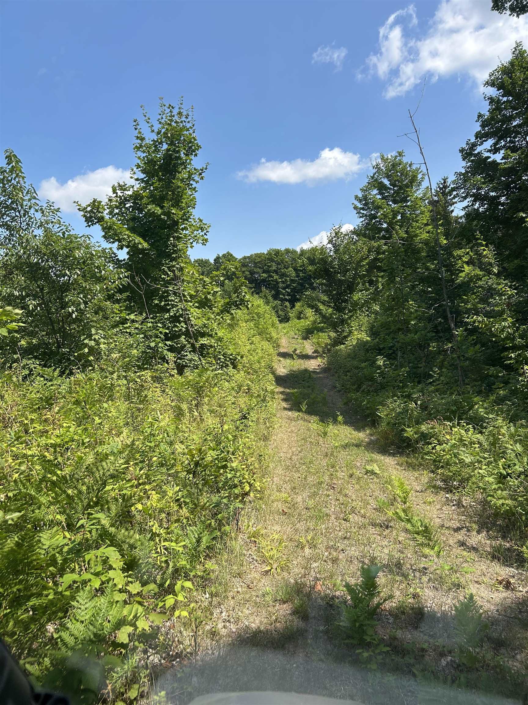 0 East 20th Road, Unit NEAREST ADDRESS ACROSS T Mesick, MI 49668 - Photo 22 of 27