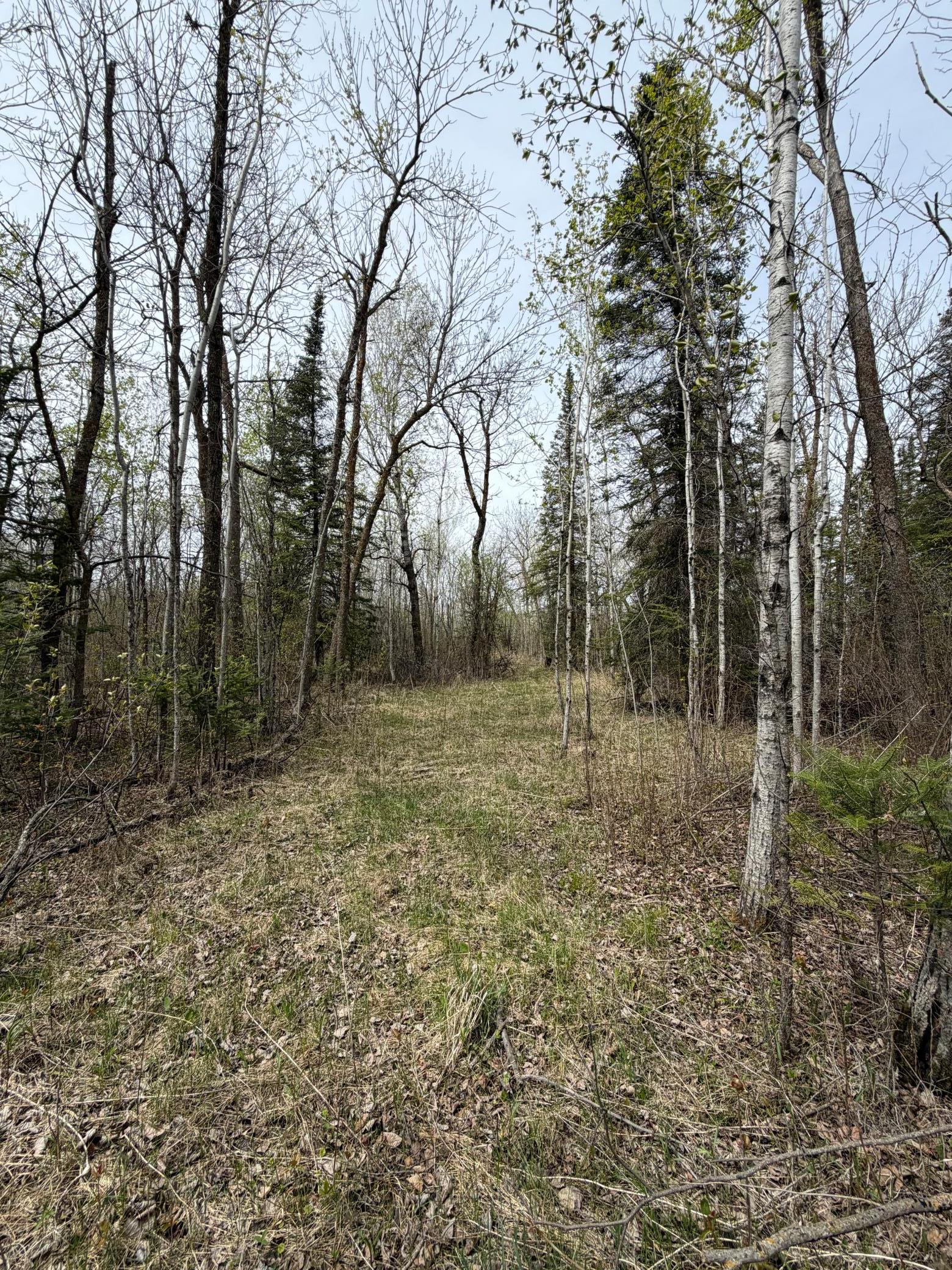 24306 County Road 6 Strathcona, MN 56759 - Photo 37 of 39