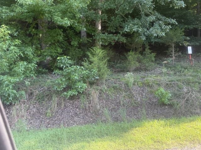 5 Carroll Hollow Road Waynesboro, TN 38485 - Photo 20 of 23