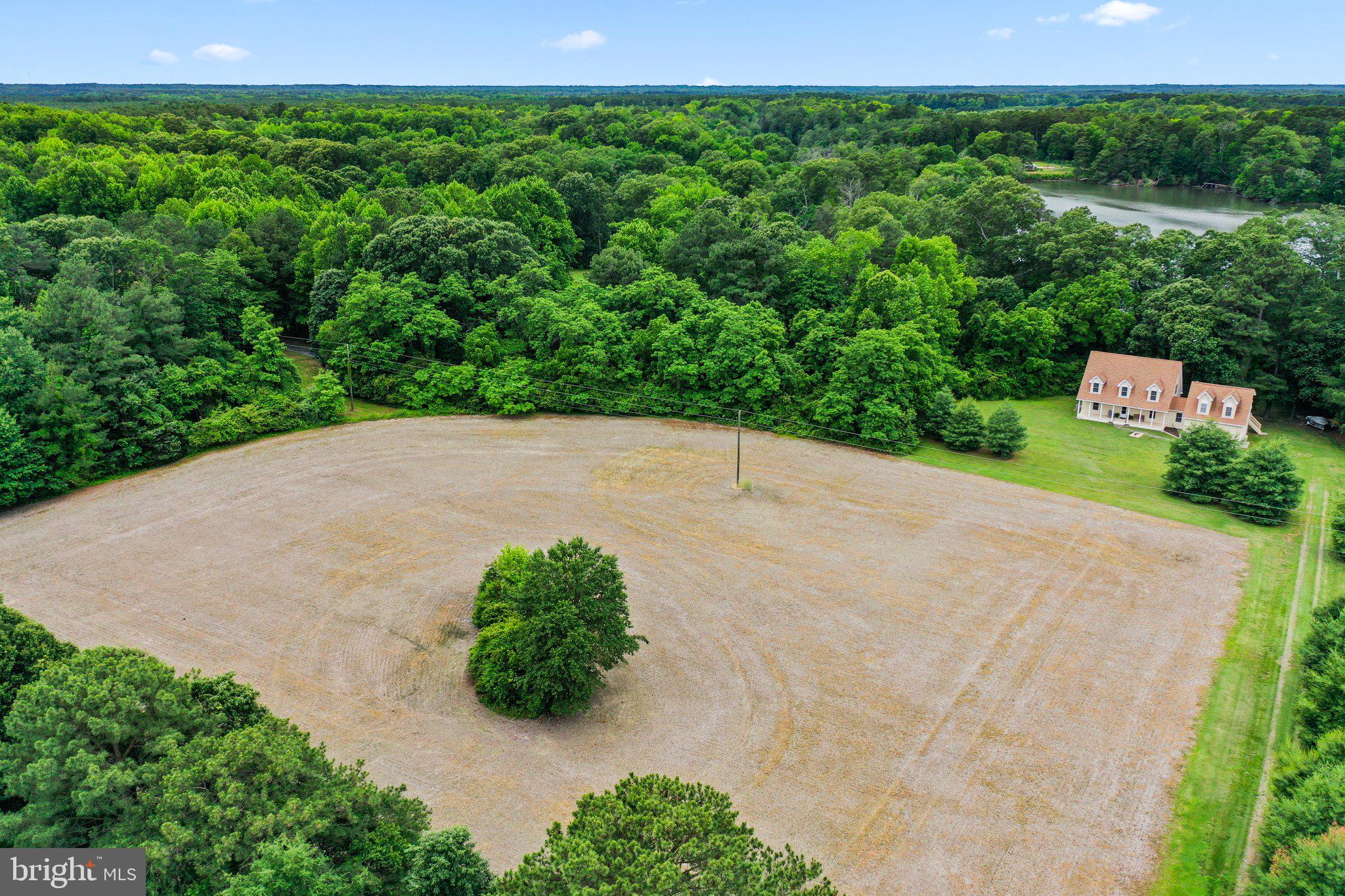 367 Edgewater Lane Montross, VA 22520 - Photo 6 of 60 5+ acre parcel provides room to expand