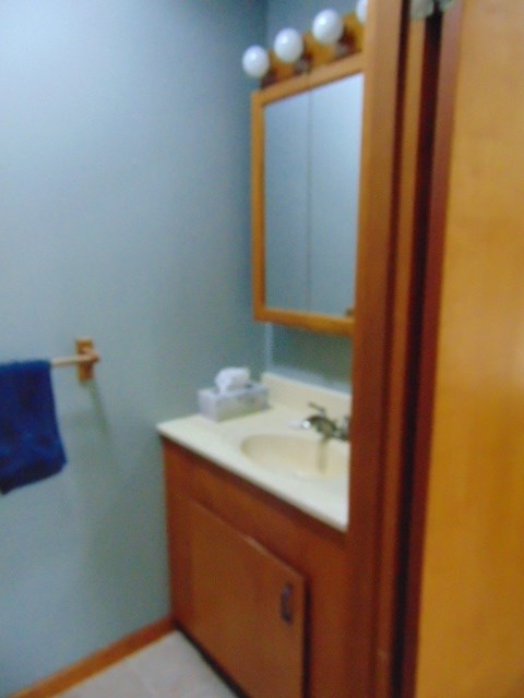 117 Surrey Road St. Louis, MI 48880 - Photo 26 of 37 1869303-25.JPG