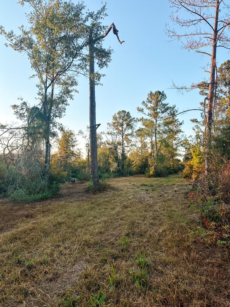 0 Porter Road Lake Park, GA 31636 - Photo 28 of 33 Gallery Image 28
