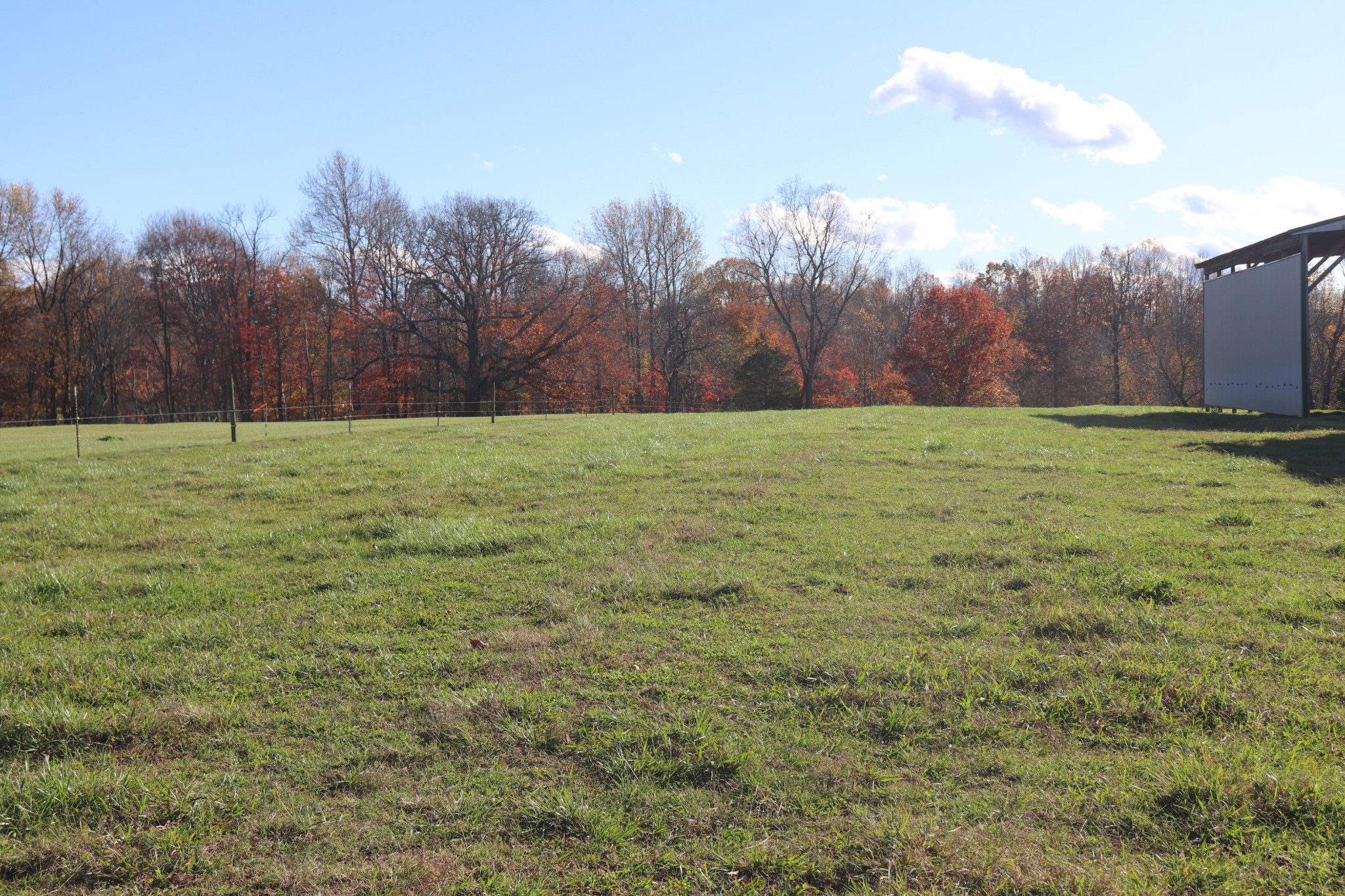 10 Union Camp Road Lafayette, TN 37083 - Photo 14 of 17 a view of a field with trees in the background