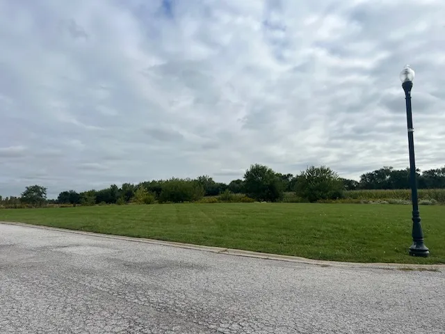 a view of a grassy field with grass