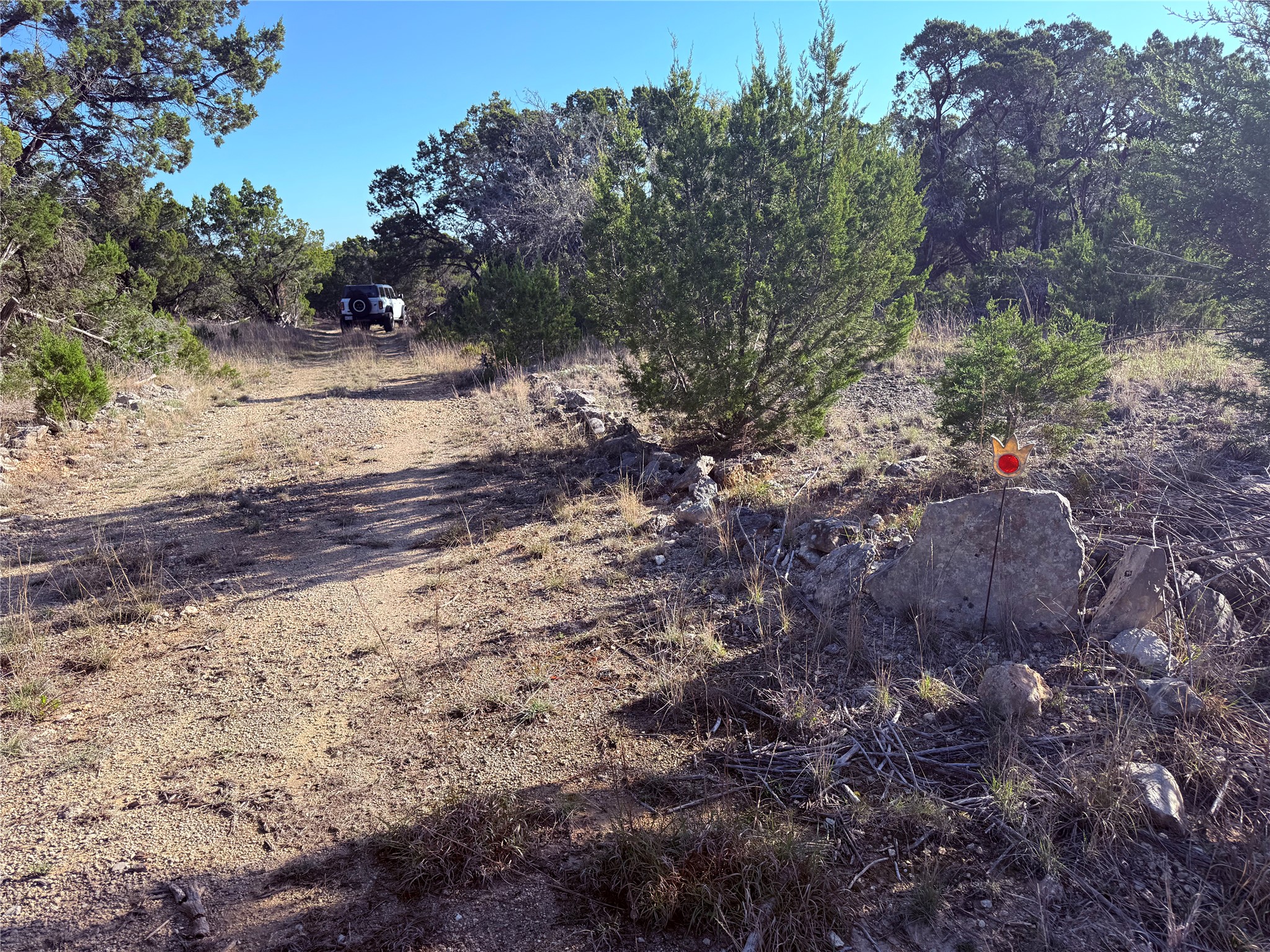 3600 Stagecoach Ranch Loop Dripping Springs, TX 78620 - Photo 7 of 18 View of dirt / gravel road